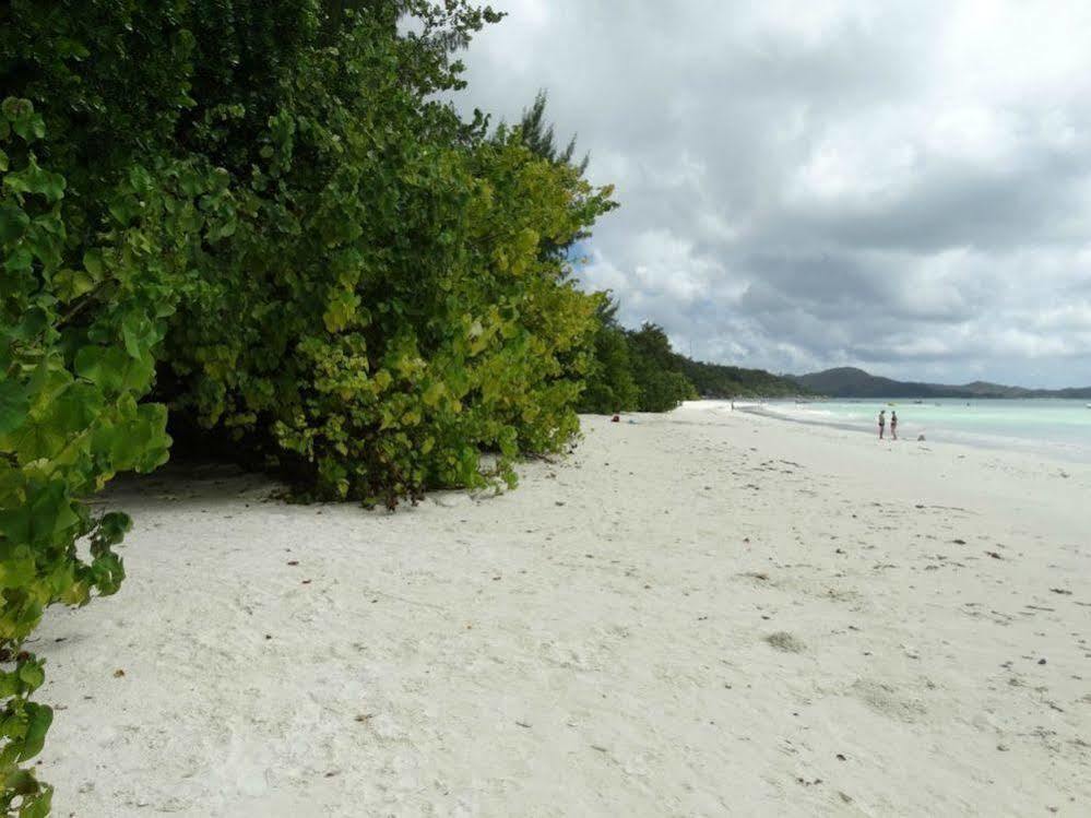 Cote D'Or Chalets Anse Volbert Village  Ngoại thất bức ảnh